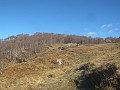 013_Cima di Medeglia_Nov-23